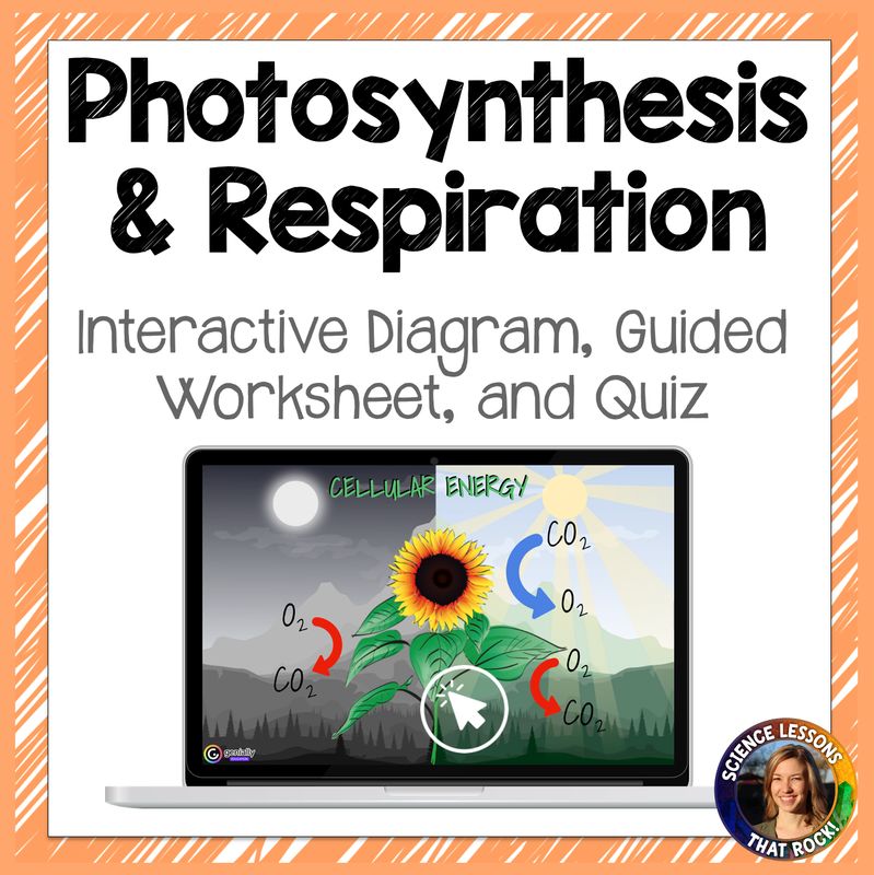 Photosynthesis and Cellular Respiration Interactive Diagram