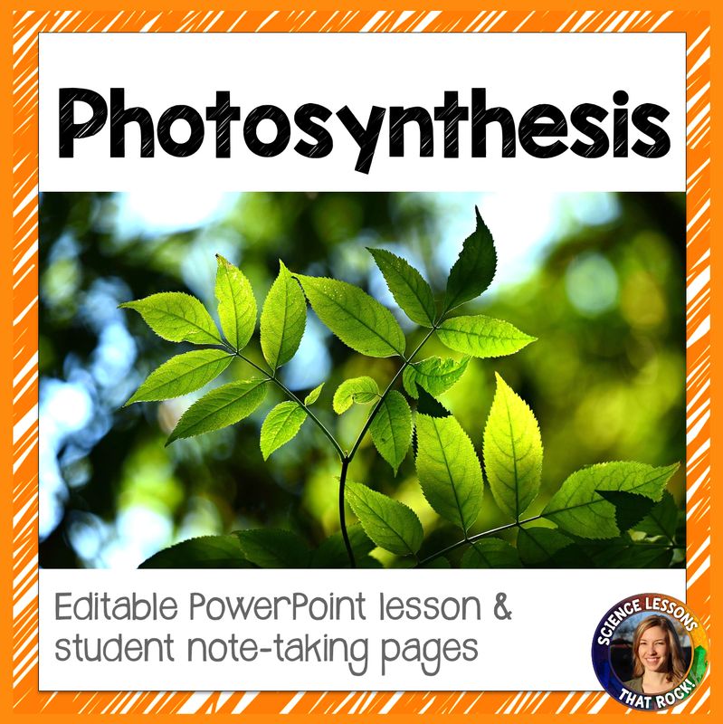 Photosynthesis powerpoint presentation