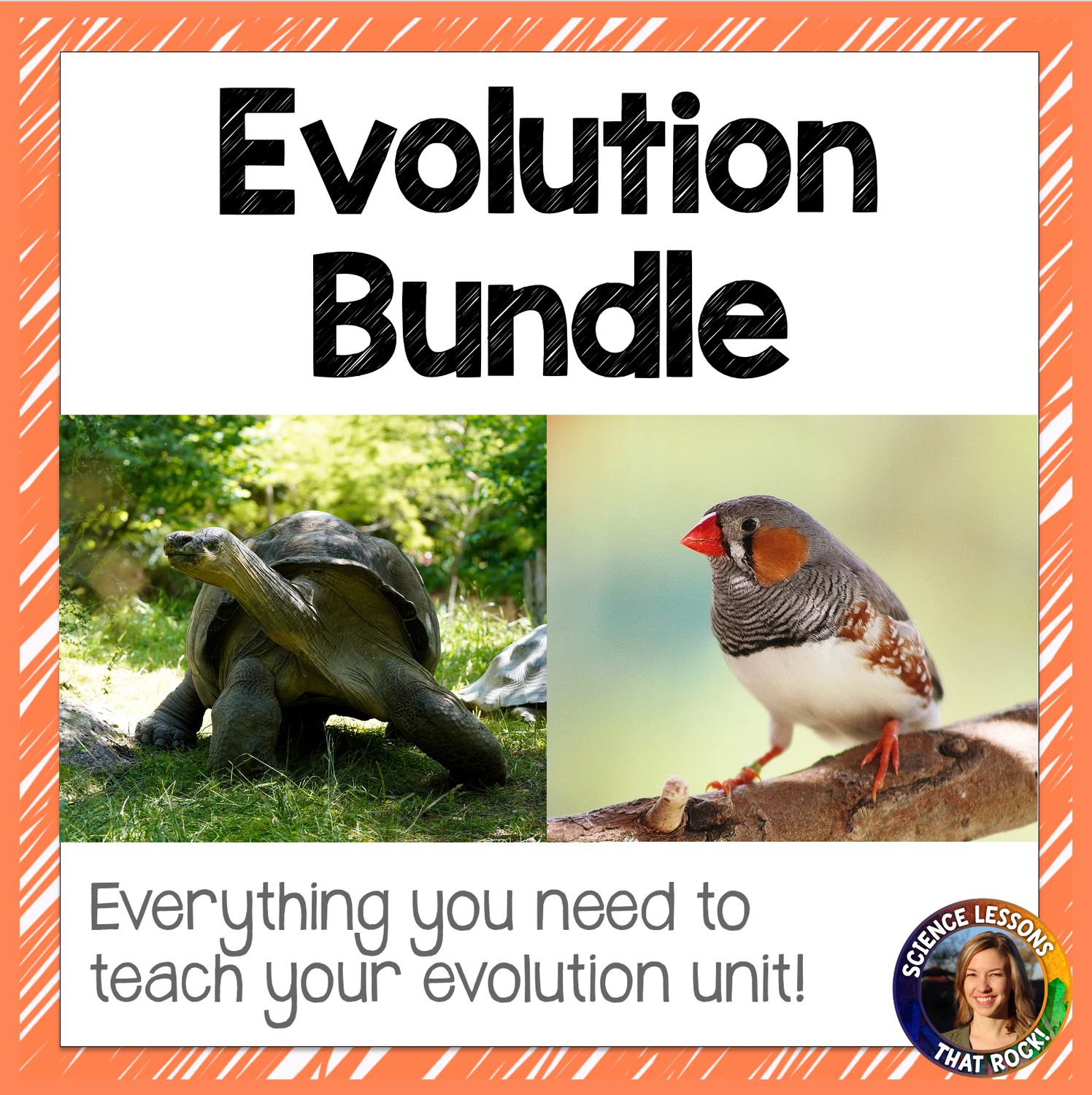 Evolution Bundle