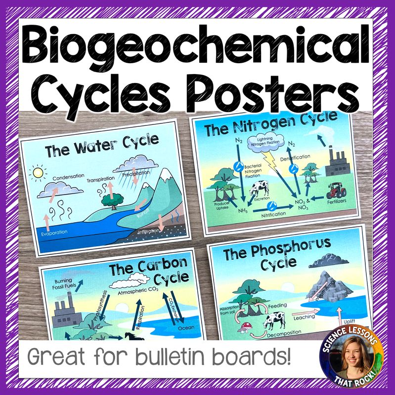 Biogeochemical Cycles Posters