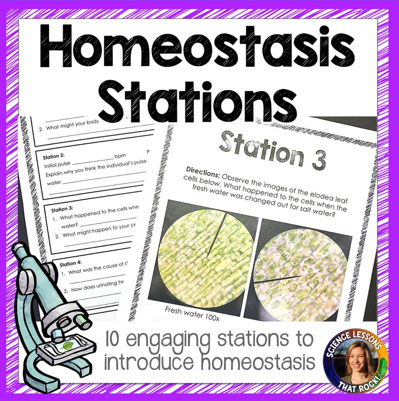 Homeostasis Station Lab