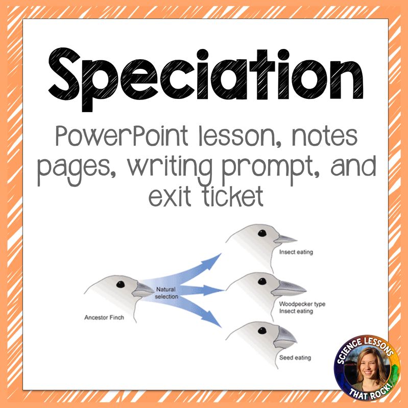 Speciation