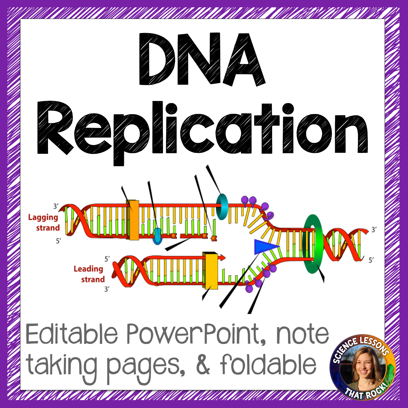 DNA Replication DNA Replication