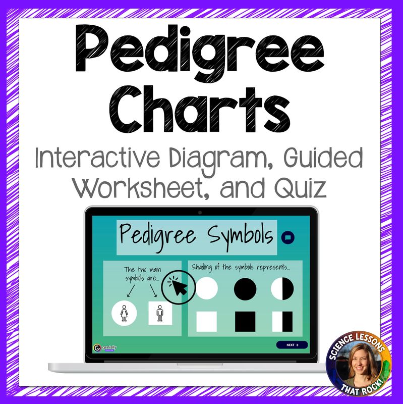 Pedigree Charts Interactive Diagram