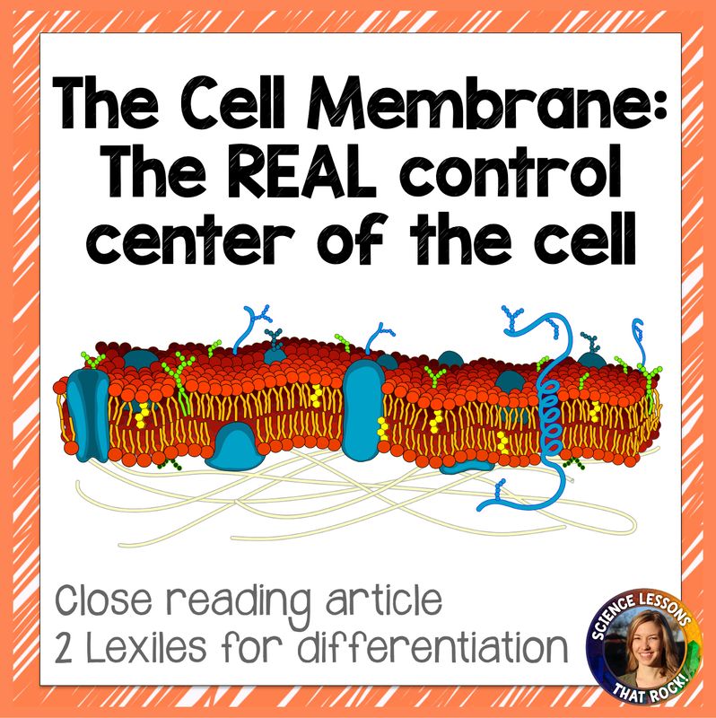 The Cell Membrane- The REAL Control Center of the Cell Close Reading