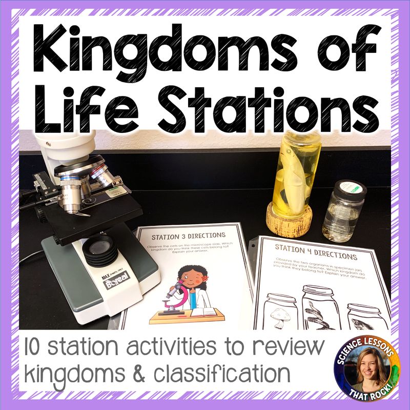 Kingdoms of Life Station Activity