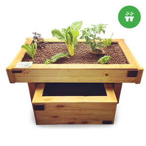 AquaBox Aquaponics System AquaBox Aquaponics System