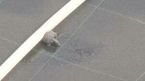 Dramm Aquofol Filter Cloth Roll Capillary Mat Dramm Aquofol Filter Cloth Roll Capillary Mat