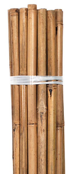 Grower's Edge Bamboo Stake Packs