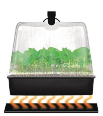 Super Sprouter Premium Heated Propagation Kit with Light Super Sprouter Premium Heated Propagation Kit with Light