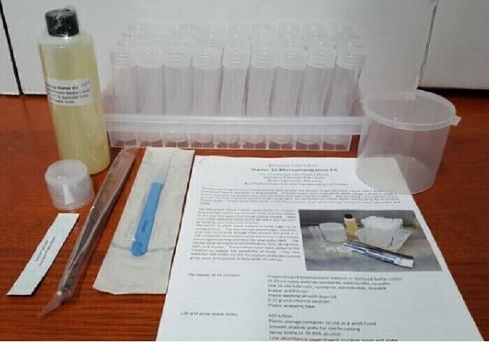 Super Starts Microclone Tissue Culture Starter Kit Tissueponics, size: 36/ pack