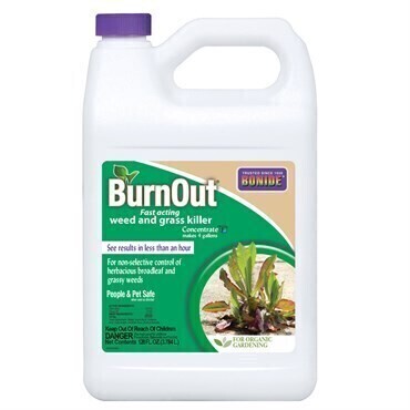 Bonide Burnout Herbicide Weed & Grass Killer Concentrate
