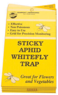Seabright Laboratories Sensor Card Sticky Surface Monitor & Trapping for Aphid, Whitefly, etc. Yellow 3x5 inch 5/ pack