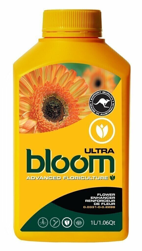 BLOOM Yellow Bottles Ultra