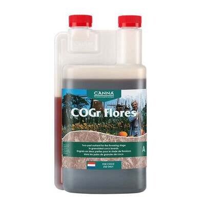 Canna COGr Flores A