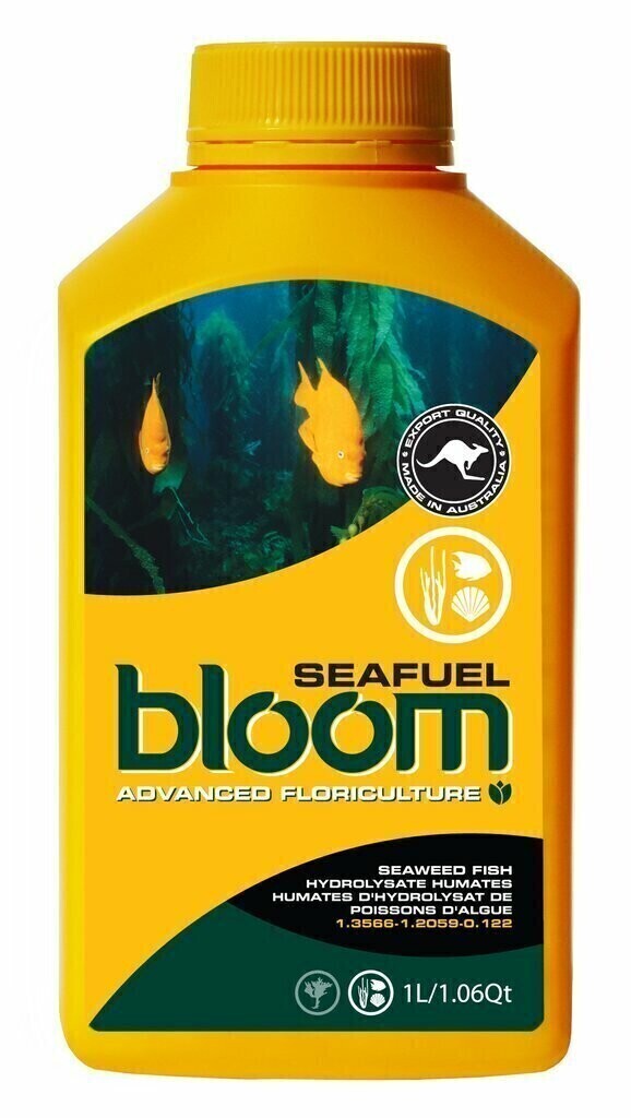 BLOOM Yellow Bottles SeaFuel