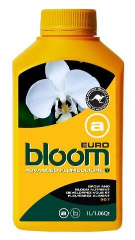 BLOOM Yellow Bottles Euro A 9-0-7