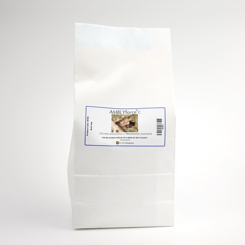 Beneficial Insectary AMBLYforce C Predatory Mite Thrip Control Amblyseius cucumeris