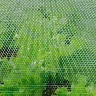 Anti-Insect Screen Bug Netting