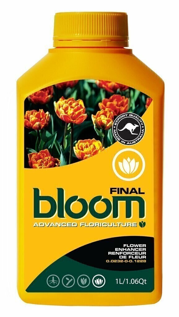 BLOOM Yellow Bottles Final