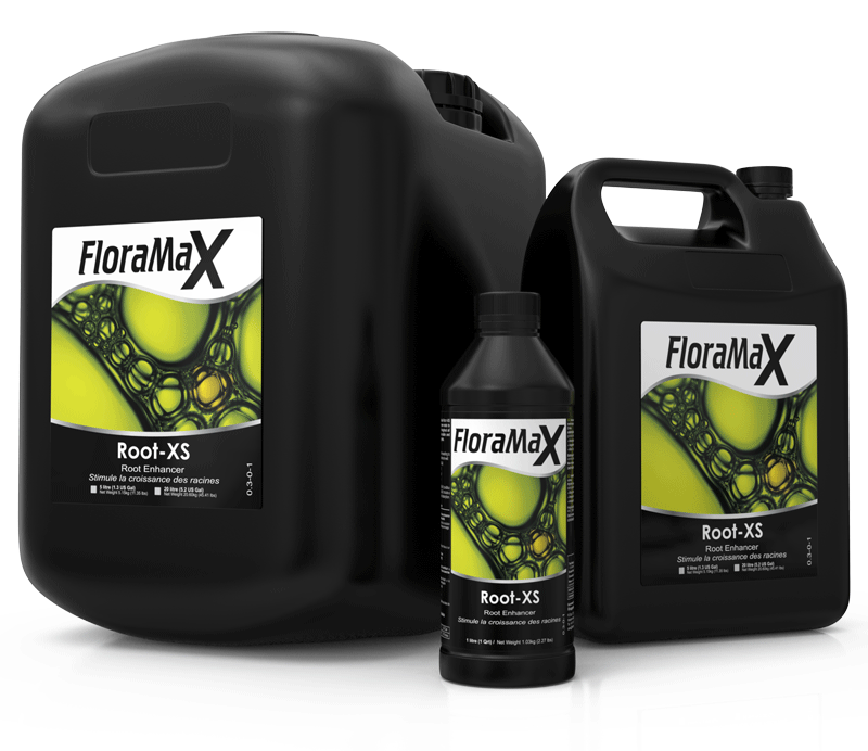 FloraMax Root-XS 0.3-0-1
