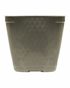 Landmark Plastics Square Pot Black 3.25 wide x 3.5 deep inch 1/ each