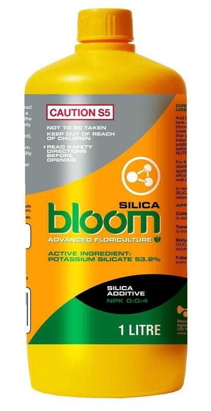 BLOOM Yellow Bottles Silica 1 quart 1 liter 1/ each