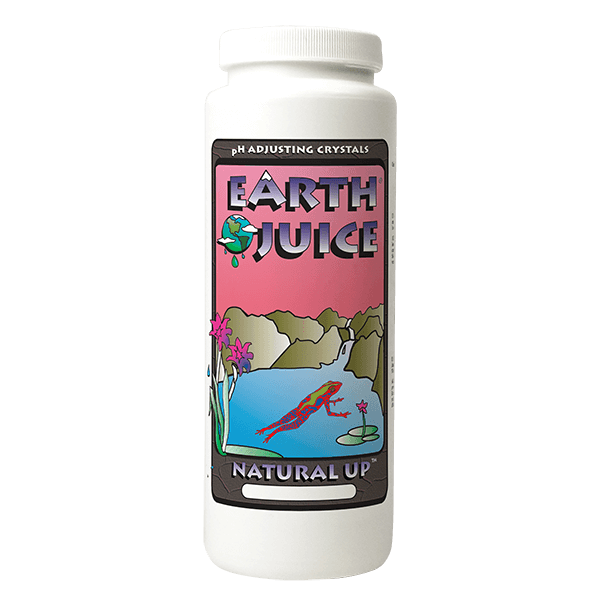 Earth Juice BiCarbonate pH Up Dry Natural Buffer