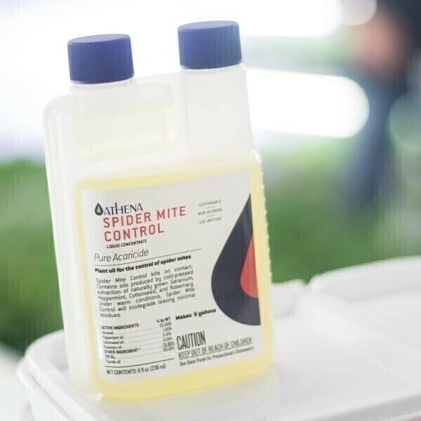 Athena Spider Mite Control 2 quart 2 liter 1/ each