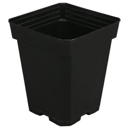Gro Pro Square Pot with Drainage Holes 5x5x6.5 inch 1/ each