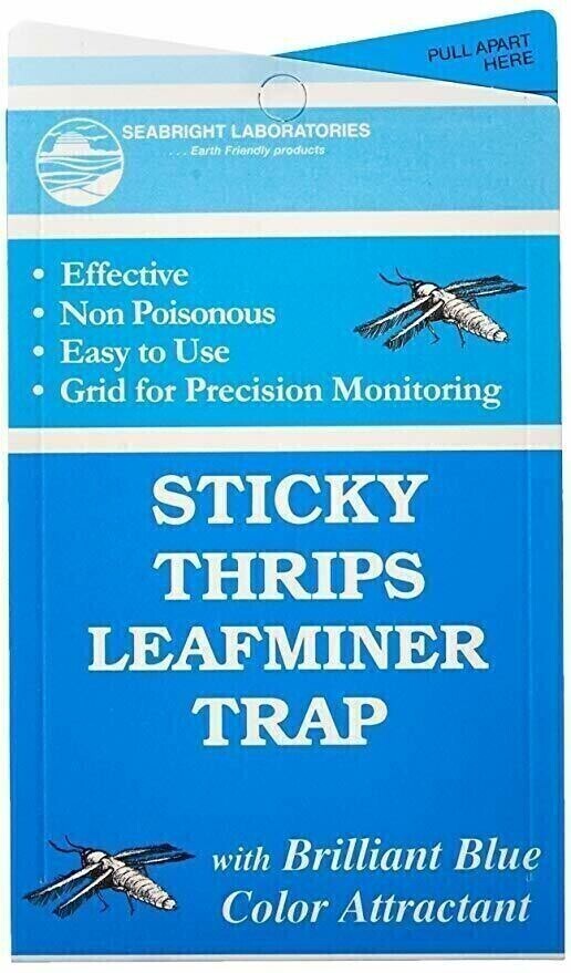 BASF Sticky Traps for Aphid, Whitefly, Fungus Gnat, etc. Blue Cards 4x10 inch 10/ pack