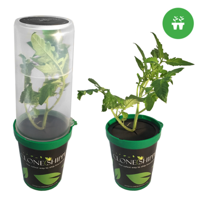 Clone Shipper Classic Live Plant Shipping Container Packaging Ready-to-Use Package with LED Light