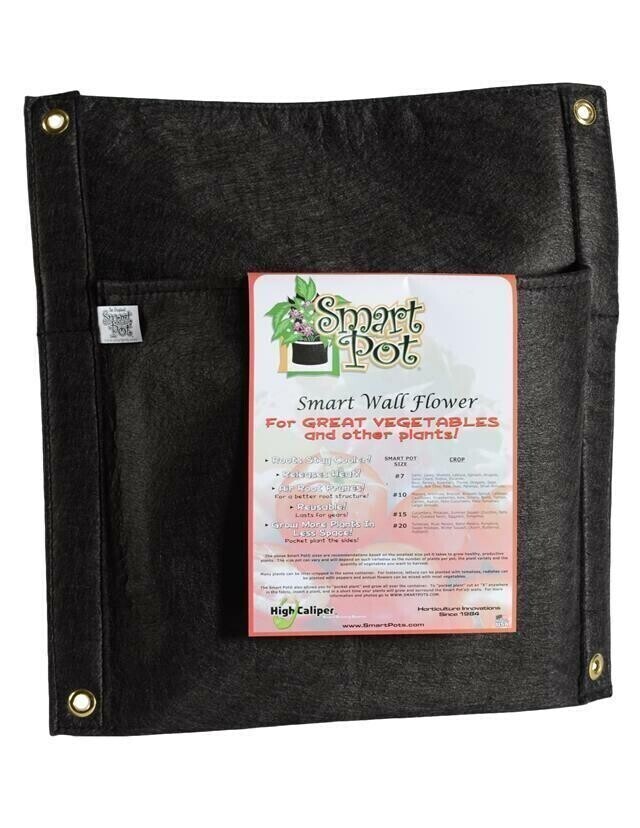 Smart Pot Wall Flower Fabric Pot Hanging Planter 3 gallon
