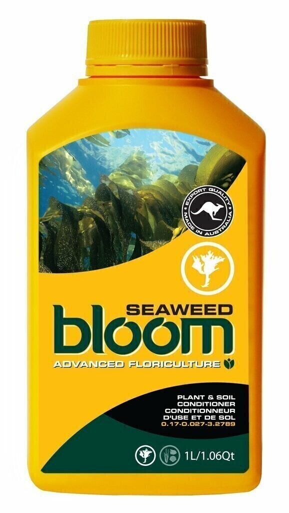BLOOM Yellow Bottles Seaweed