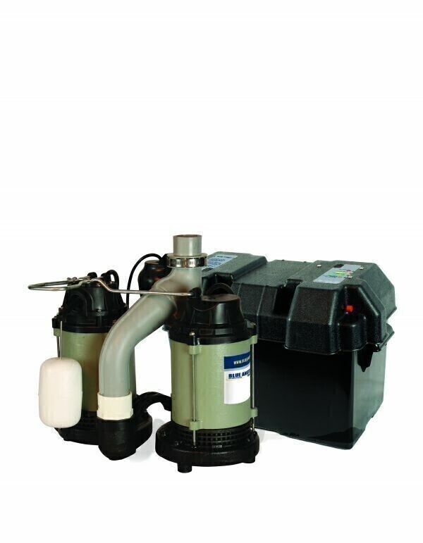 Blue Angel Dual Suction Pump with 8 foot cord Cast Iron