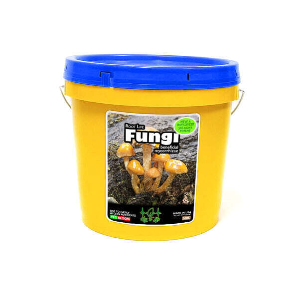 Key To Life Rootlife Fungi Beneficial Microorganisms