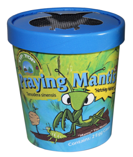 Tip Top Bio Praying Mantis Eggs Broad Spectrum Pest Control