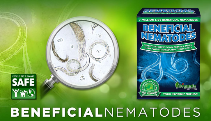 Orcon Beneficial Nematodes Broad Spectrum Soil Pest Control