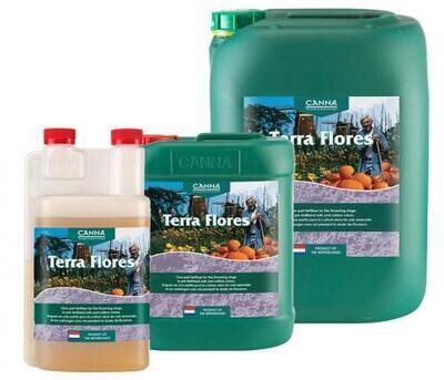 Canna Terra Flores