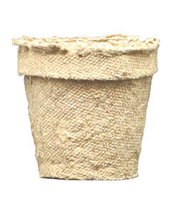 Jiffy Peat Pot Tan