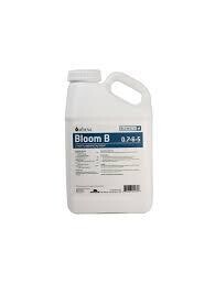 Athena Base Bloom B