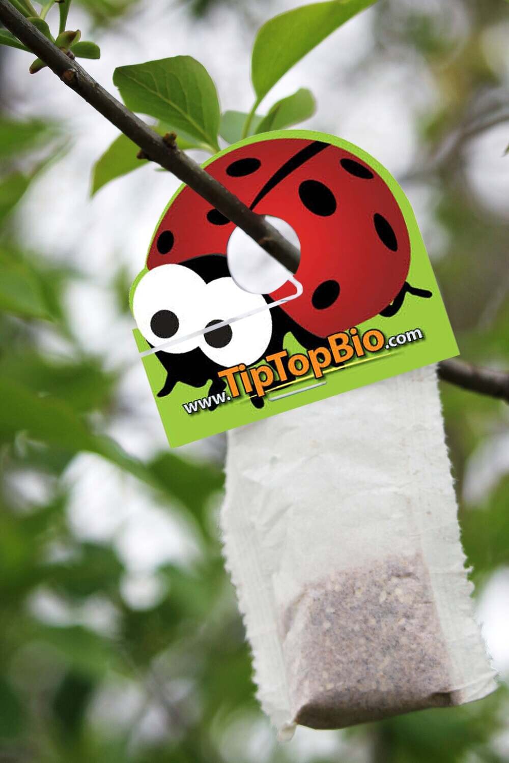 Tip Top Bio Predator Mite All Life Stages Amblyseius andersoni, size: (100 Sachet of 250 unit) 25,000/ pack