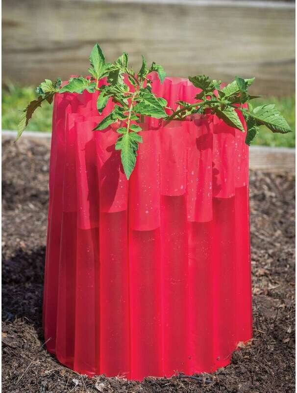 Burpee Kozy Coat Plant Insulator White 5/ pack