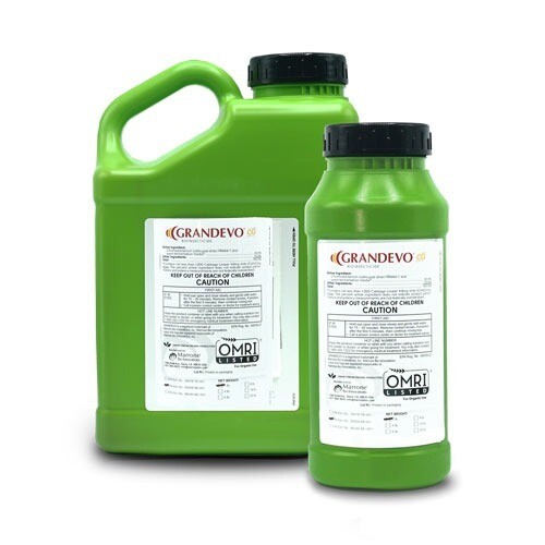 Marrone Bio Innovations Grandevo Biological Insect Control WDG 6 pound 2.7 kilogram 1/ each