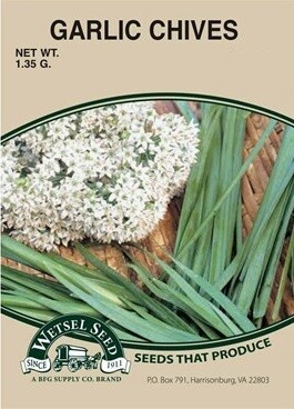 Wetsel Seed Garlic Chives 1 gram Packet of Seeds 1/ each