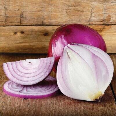 MIgardener Seed Packet Red Burgundy Red Onion 250 seeds 1/ each