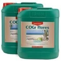 Canna COGr Flores A