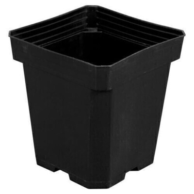 Gro Pro Square Pot with Drainage Holes 5x5x6.5 inch 1/ each