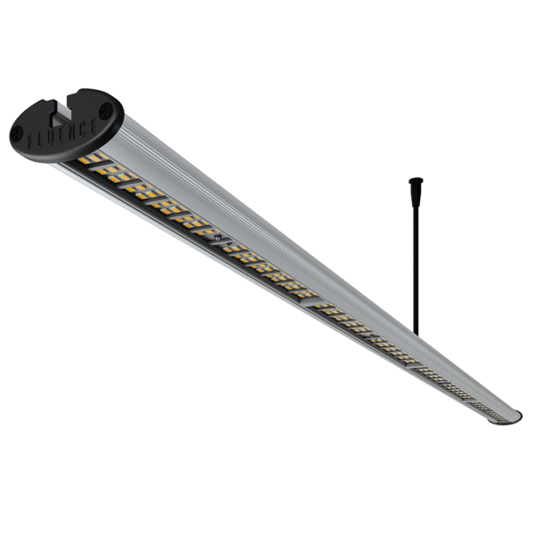 Fluence Ray 22/44/66 Suspension Kit