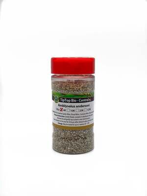 Tip Top Bio Predator Mite All Life Stages Amblyseius andersoni